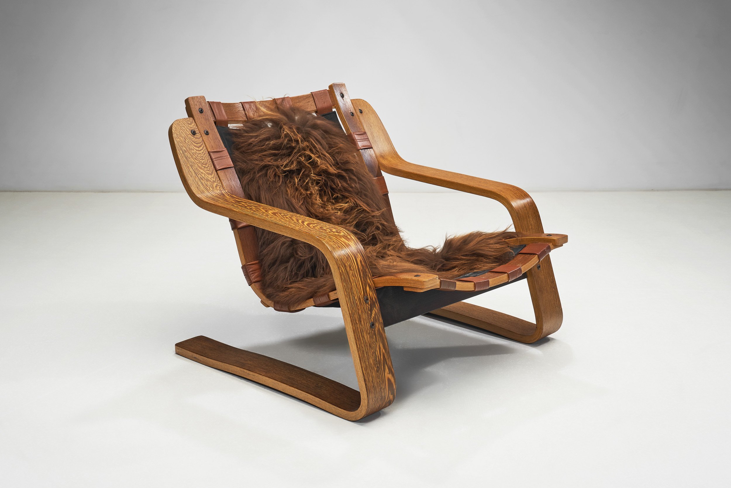 Sculptural Zebrano Plywood Lounge Chair, The Netherlands 1970s — H
